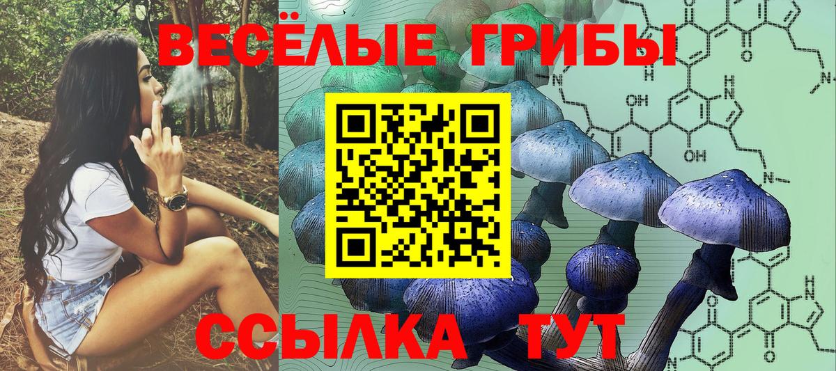 Псилоцибиновые грибы MAGIC MUSHROOMS Севастополь