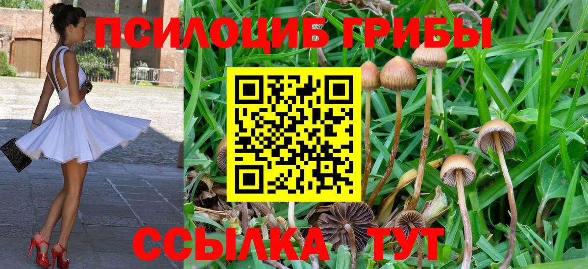 Галлюциногенные грибы Cubensis  Вход с VPN  Севастополь 
